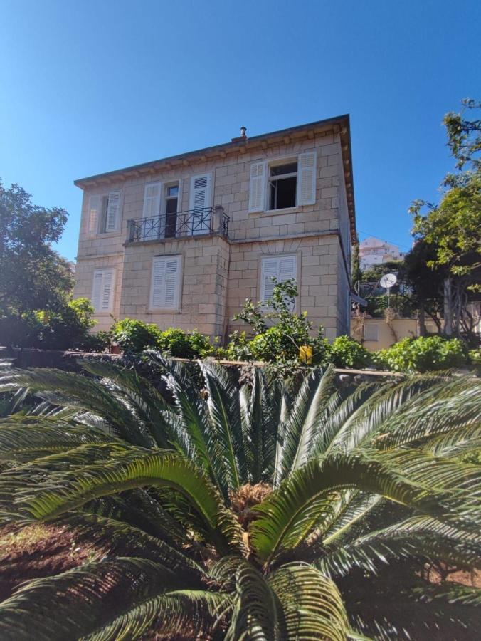Villa Arancia دوبروفينك المظهر الخارجي الصورة